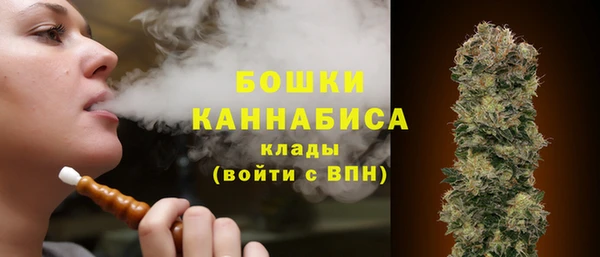 тгк Елизово